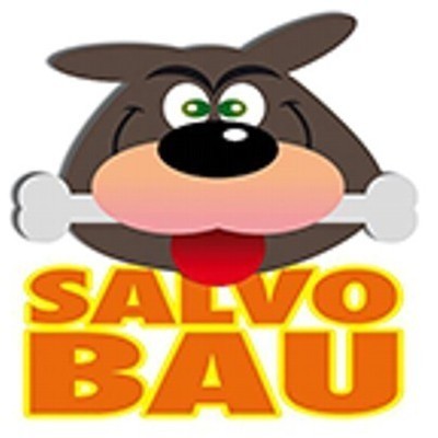 Logo di SALVO BAU
