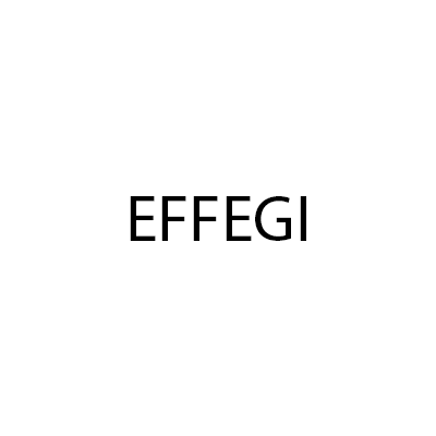 Logo di EFFEGI