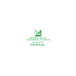 Logo di VIVAIO REBELLA