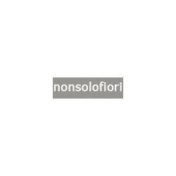 Logo di NONSOLOFIORI