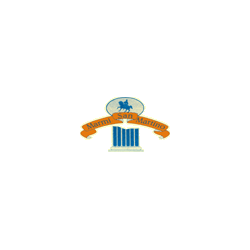 Logo di MARMI S. MARTINO