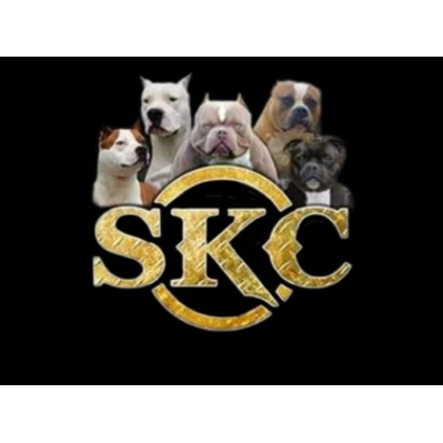 Logo di DOG PERFORMANCE