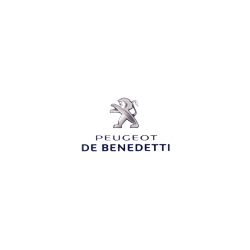 Logo di CONCESSIONARIA DE BENEDETTI