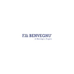 Logo di CARROZZERIA BENVEGNÙ