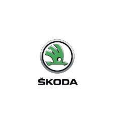Logo di NUOVA VERONAUTO