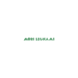 Logo di MORI LEGNAMI