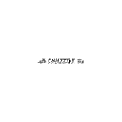Logo di CAVAZZINI - SPURGHI E LAVORI AGRICOLI