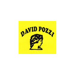 Logo di DAVID POZZI