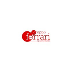 Logo di PARRUCCHIERI FERRARI