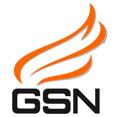 Logo di GSNETWORK VICENZA