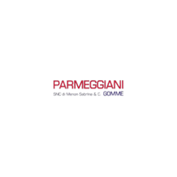 Logo di PARMEGGIANI GOMME