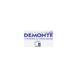 Logo di DEMONTE - TORNERIA DI PRECISIONE