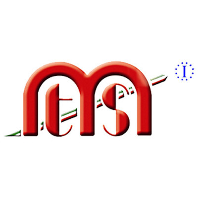 Logo di M.T.S.
