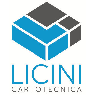 Logo di CARTOTECNICA LICINI