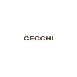 Logo di AGENTE CECCHI DANILO