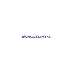 Logo di AUTOFFICINA BESANA AGOSTINO