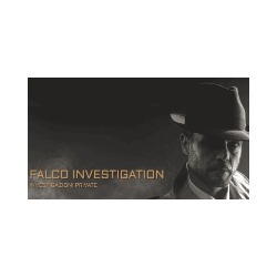 Logo di FALCO INVESTIGATION