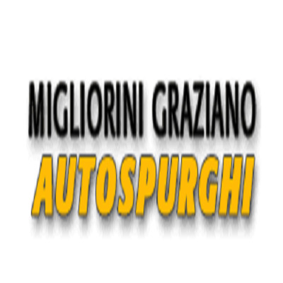 Logo di MIGLIORINI GRAZIANO AUTOSPURGHI