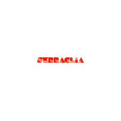 Logo di SERRAGLIA AUTODEMOLIZIONI