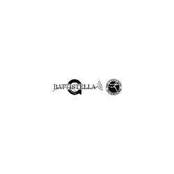 Logo di FIORERIA BATTISTELLA