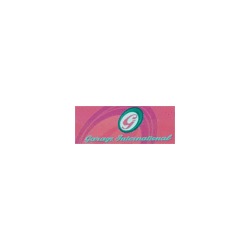 Logo di GARAGE INTERNATIONAL