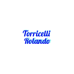 Logo di NUOVA TORRICELLI ROLANDO