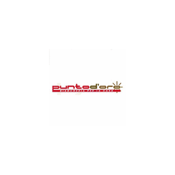 Logo di PUNTO D'ORO