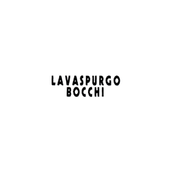 Logo di LAVASPURGO BOCCHI