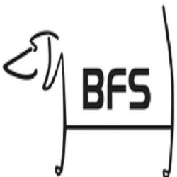 Logo di BFS-SERVIZI