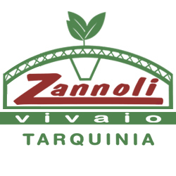 Logo di VIVAIO ZANNOLI