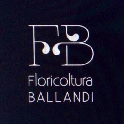 Logo di FLORICOLTURA BALLANDI