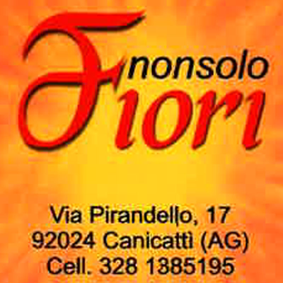 Logo di NON SOLO FIORI DI  GRAZIELLA AMATO