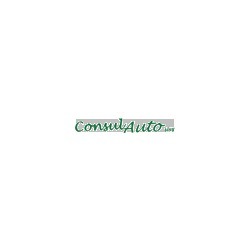 Logo di CONSULAUTO SAS
