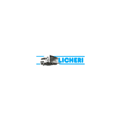 Logo di L.T.T. DI LICHERI