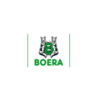 Logo di BOERA RICCARDO