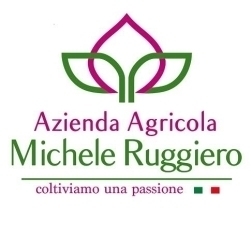 Logo di AZIENDA AGRICOLA M. RUGGIERO