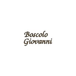Logo di SERRAMENTI BOSCOLO GIOVANNI