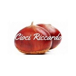 Logo di CIOCI RICCARDO