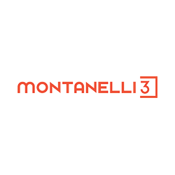 Logo di MONTANELLI 3