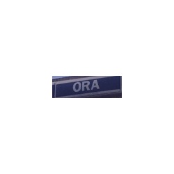 Logo di AUTOFFICINA ORA