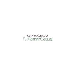 Logo di AZIENDA AGRICOLA FLORSEBINA GUERINI