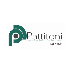 Logo di PATTITONI S.R.L.
