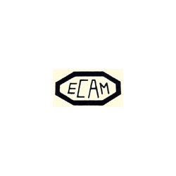 Logo di ECAM DI CAMPARINI ARVEDO & C. SNC