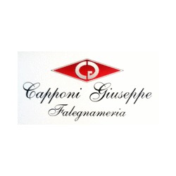 Logo di GIUSEPPE CAPPONI FALEGNAMERIA