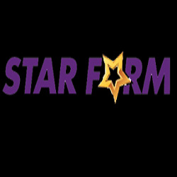 Logo di STAR FORM