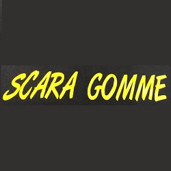 Logo di SCARAGOMME