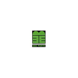 Logo di EBE