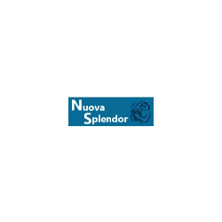 Logo di NUOVA SPLENDOR IMPRESA DI PULIZIE E DISINFESTAZIONE