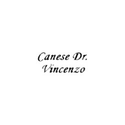 Logo di CANESE VINCENZO