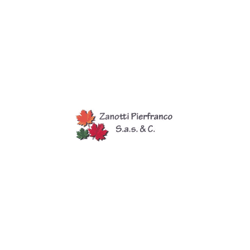 Logo di ZANOTTI PIERFRANCO